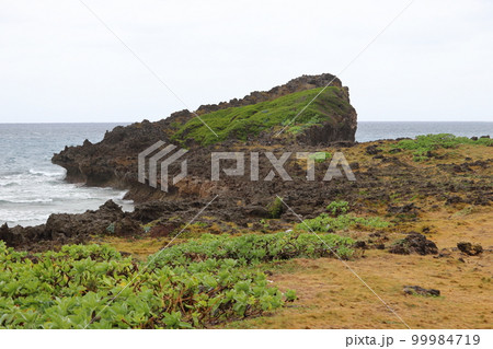 宮古島の西平安名崎 先端部とテリクサトベラの群生 宮古島の西平安名崎 先端部とテリクサトベラの群生 99984719