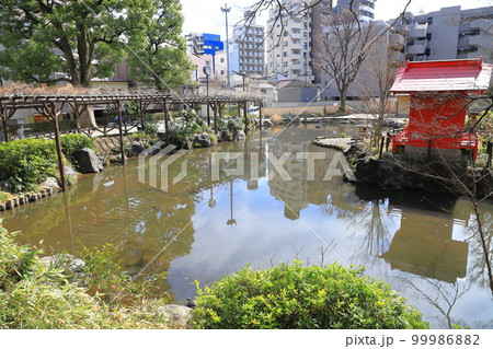 文京区立須藤公園 中の島と弁財天堂 文京区千駄木 文京区立須藤公園 中の島と弁財天堂 文京区千駄木 99986882