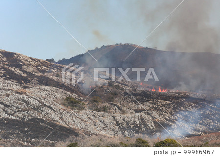 春の風物詩平尾台の野焼き　北九州国定公園平尾台 99986967