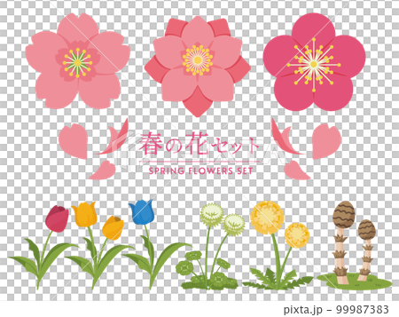 春天的花朵 99987383