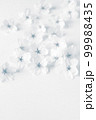 白背景に桜の花びらの背景素材、和風なサクラの花びら、桜のフレーム 99988435