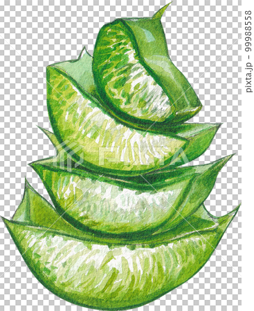 Skin care watercolor png element 99988558