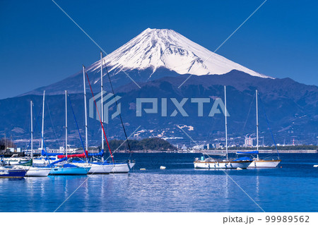 《静岡県》富士山とヨットハーバー・沼津市 99989562