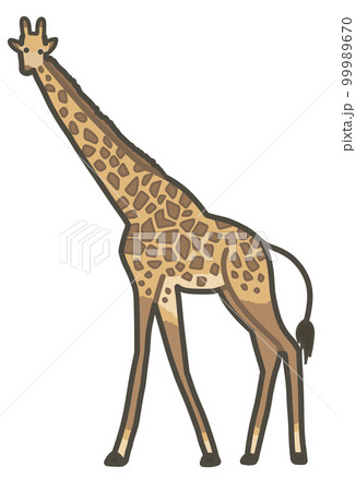 キリンの手書きイラスト　リアルタッチ 99989670