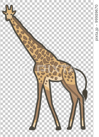 キリンの手書きイラスト　リアルタッチ 99989670