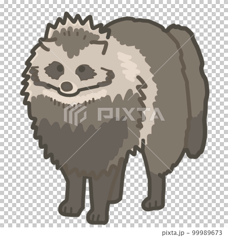 たぬきの手書きイラスト リアルタッチのイラスト素材 [99989673] - PIXTA