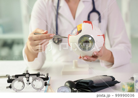 Female ophthalmologist shows an anatomical model of human eye while sitting at table in clinic. 99990036