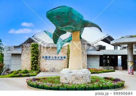沖縄 美ら海水族館  99990684