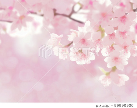 桜のイラスト背景素材 桜のイラスト背景素材 99990900