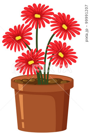 Red flower in pot on white background 99991207