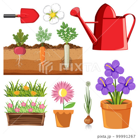 Set of plant and gardening tools and equipment 99991267
