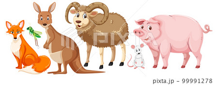 Set of cute animals cartoon character Set of cute animals cartoon character 99991278