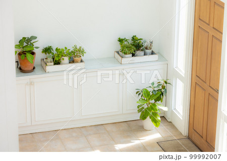 玄関　インテリア 99992007