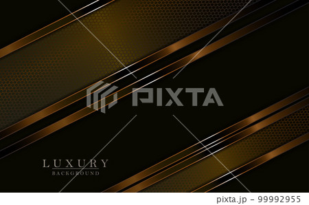 Brown geometric composition with mesh slanting curtains with a shiny border 99992955