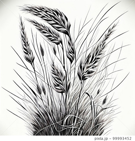 Grass Pencil Sketch Vector Images (over 590)
