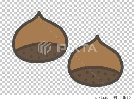 hand drawn illustration of chestnut hand drawn illustration of chestnut 99993630