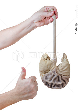 Hand holding pork stomach with thumb up isolated Hand holding pork stomach with thumb up isolated 99993696