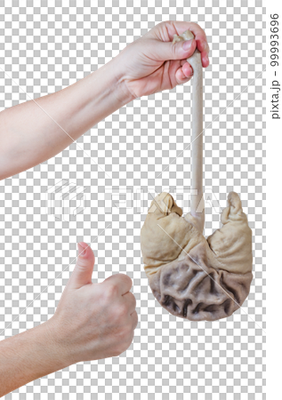 Hand holding pork stomach with thumb up isolated Hand holding pork stomach with thumb up isolated 99993696