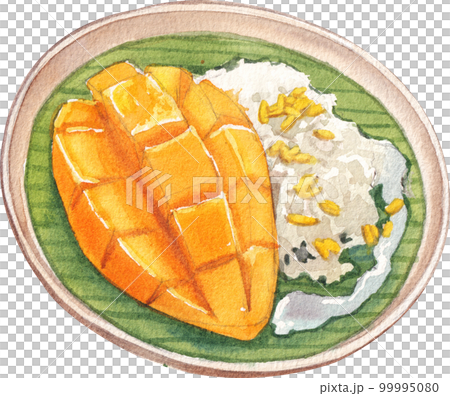 Mango watercolor png element Mango watercolor png element 99995080