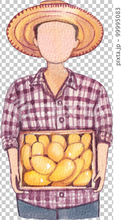 Mango watercolor png element Mango watercolor png element 99995083