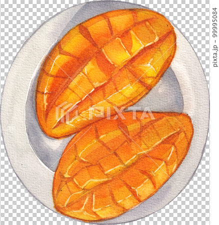 Mango watercolor png element Mango watercolor png element 99995084