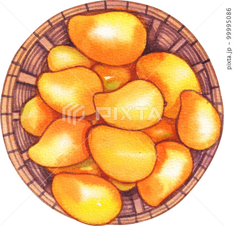 Mango watercolor png element 99995086
