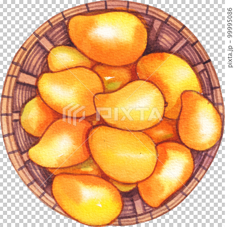 Mango watercolor png element 99995086