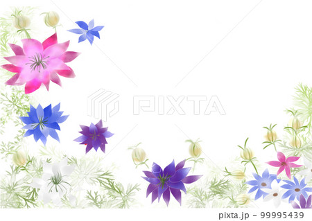 黒種草の花カード 黒種草の花カード 99995439