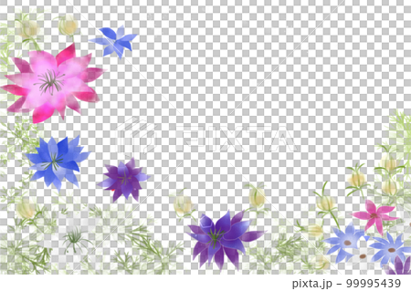 black grass flower card 99995439