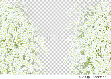 雪柳フレーム3 99995440