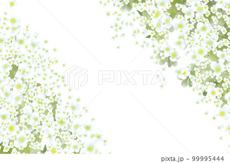 雪柳フレーム2 99995444