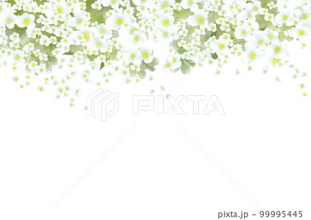 雪柳フレーム1 99995445