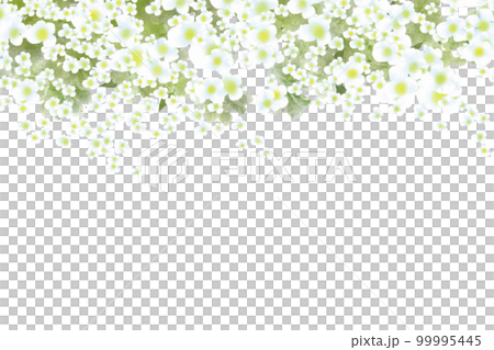 雪柳フレーム1 99995445