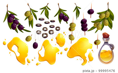 Isolated Olive tree branch set with oil bottle 99995476