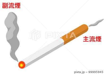 主流煙と副流煙 99995945
