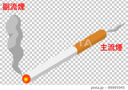 主流菸和側流菸 99995945