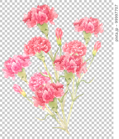 水彩のカーネーションブーケイラスト 99997707