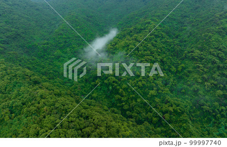 Aerial view of beautiful forest mountain landscape Aerial view of beautiful forest mountain landscape 99997740