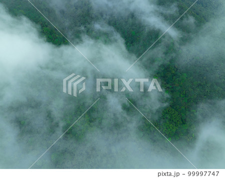 Aerial view of beautiful forest mountain landscape Aerial view of beautiful forest mountain landscape 99997747