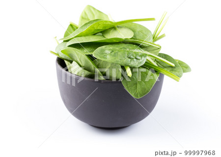 Green spinach on a white background Green spinach on a white background 99997968