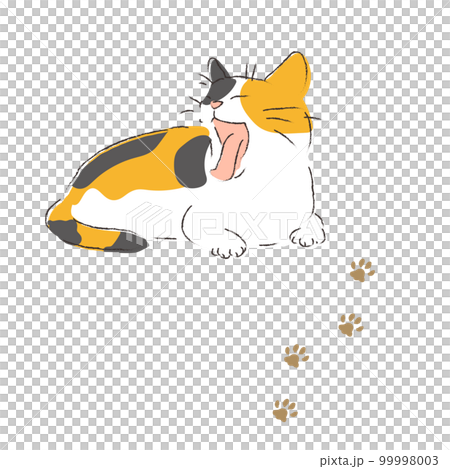 Yawning Mike cat and footprints Yawning Mike cat and footprints 99998003