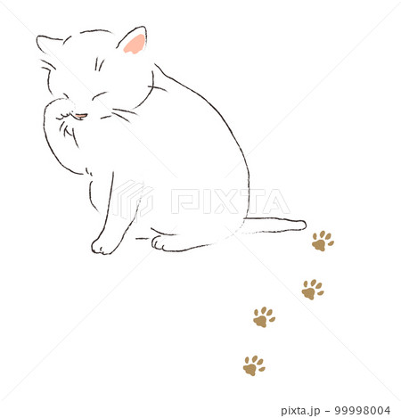顔を洗う白い猫と足跡 顔を洗う白い猫と足跡 99998004