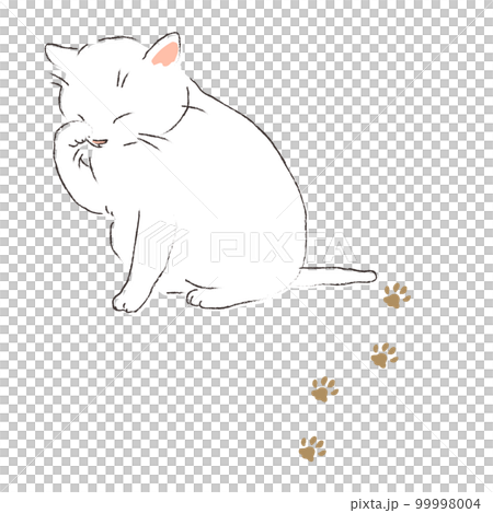 顔を洗う白い猫と足跡 顔を洗う白い猫と足跡 99998004