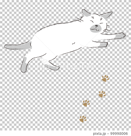 眠るポインテッドの猫と足跡 99998006