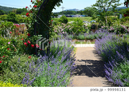 いばらきフラワーパークへ行きました　＃55 99998131