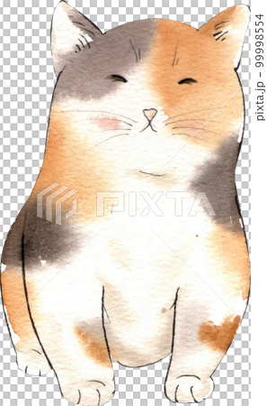 Kitten cat watercolor png element 99998554