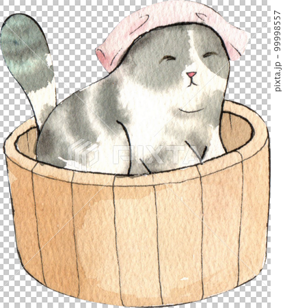 Kitten cat watercolor png element Kitten cat watercolor png element 99998557