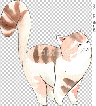 Kitten cat watercolor png element Kitten cat watercolor png element 99998561