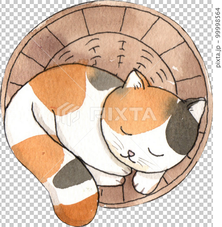 Kitten cat watercolor png element Kitten cat watercolor png element 99998564