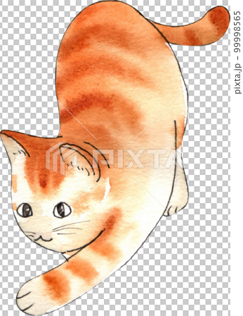 Kitten cat watercolor png element Kitten cat watercolor png element 99998565